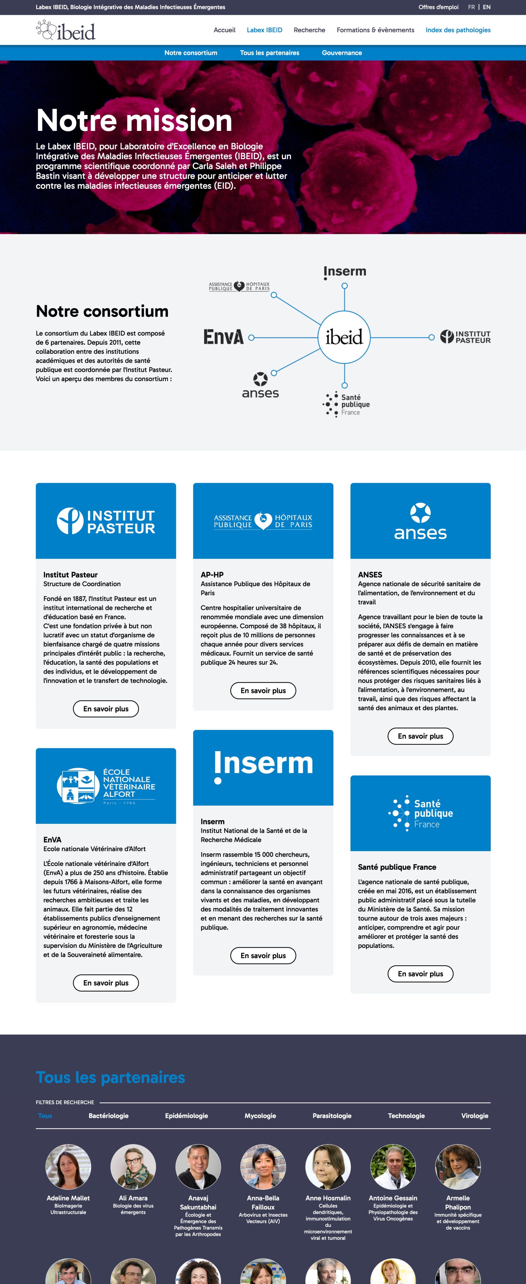 Ecran 1 du site Labex Ibeid